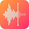 MyRecorder 1.02.56.1001 Old Version icon